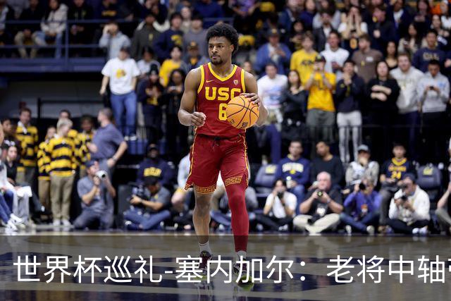 世界杯巡礼-塞内加尔：老将中轴带来安全感，非洲顶流前景可期！