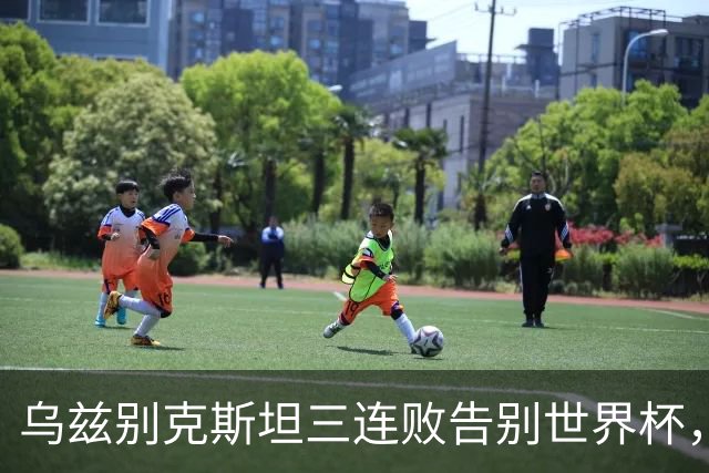 乌兹别克斯坦三连败告别世界杯，卡纳瓦罗大概率继续执教，9至10月或将来华与国足热身